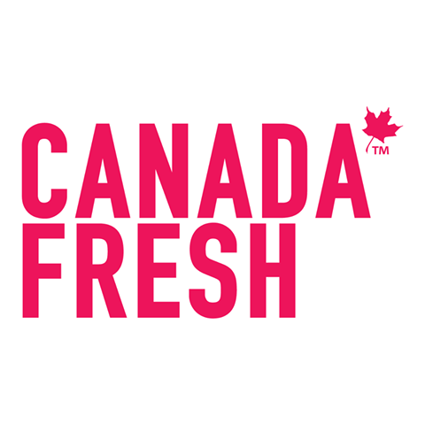 Canada Fresh Cat Food Reviews